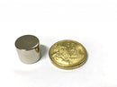 12mm x 10mm Disc (Rare Earth)