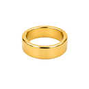 Neodymium Magnetic Magician's Ring - Gold | 21mm (OD) × 18mm (ID) × 7mm (H)