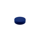 22mm x 6mm blue plastic coated neodymium disc magnet