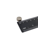 12.5mm x 5mm samarium cobalt disc magnet shown beside a ruler for scale