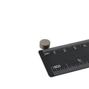 10mm x 5mm samarium cobalt disc magnet shown beside a ruler for scale