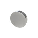 80mm x 20mm Disc - N42 (Rare Earth, North Pole Dent)