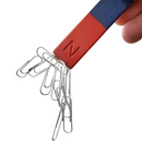 Educational North/South Bar Magnet (Ferrite)