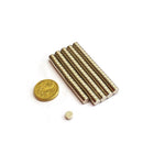 6mm x 3mm Disc (Rare Earth)