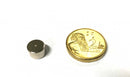 8mm x 5mm Disc (Rare Earth)
