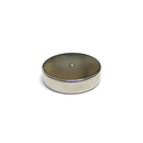 20mm x 5mm Disc (Rare Earth)