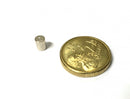 4mm x 5mm Rod (Rare Earth)